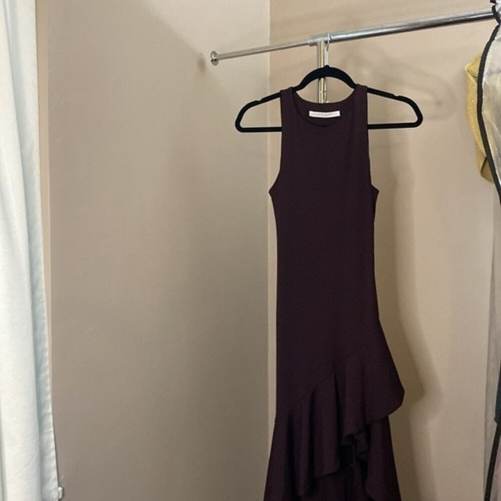 Susana Monaco Ruffle Sleeveless Dress